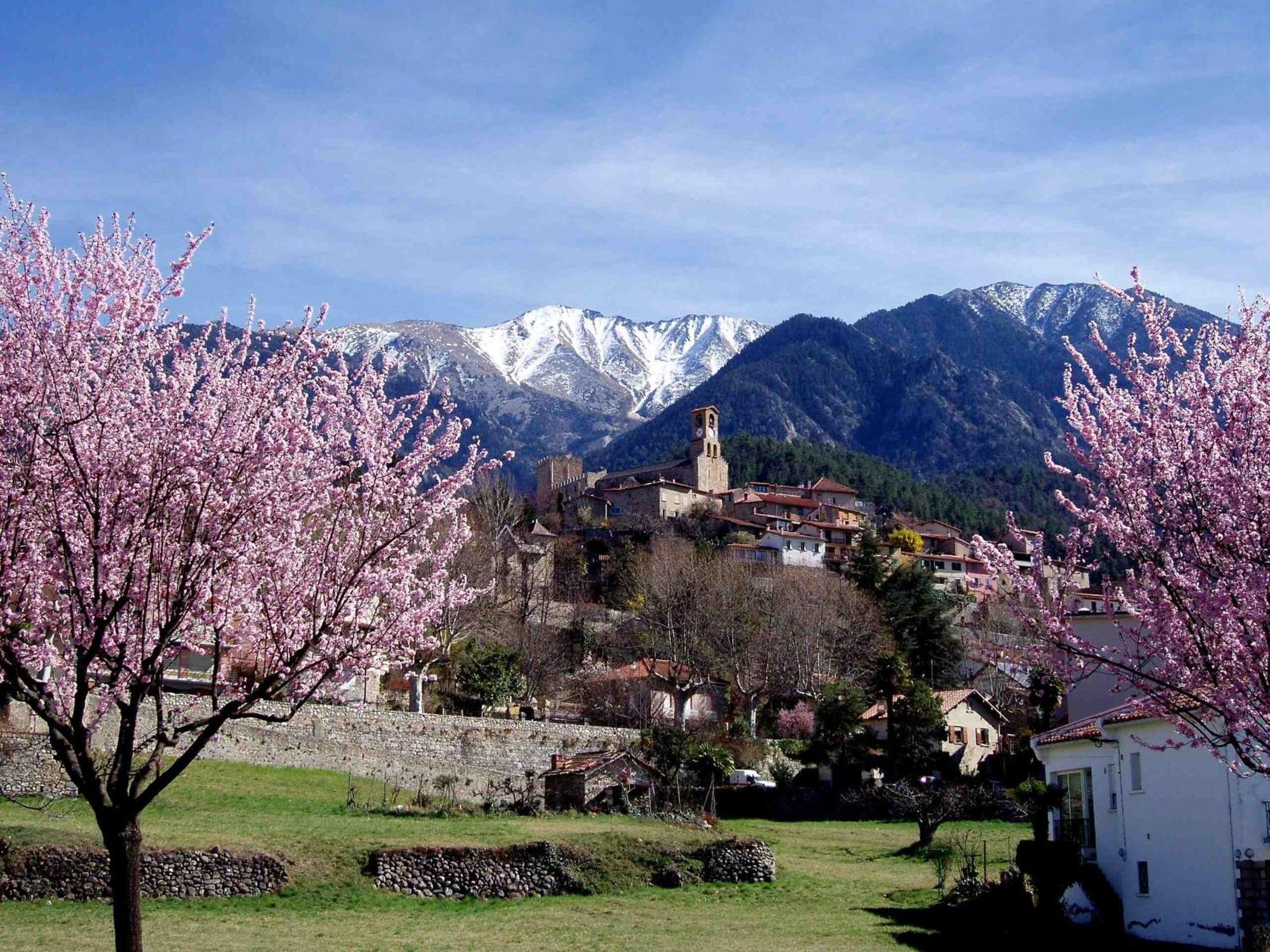 Hotel Les Sources Vernet-les-Bains Exterior foto